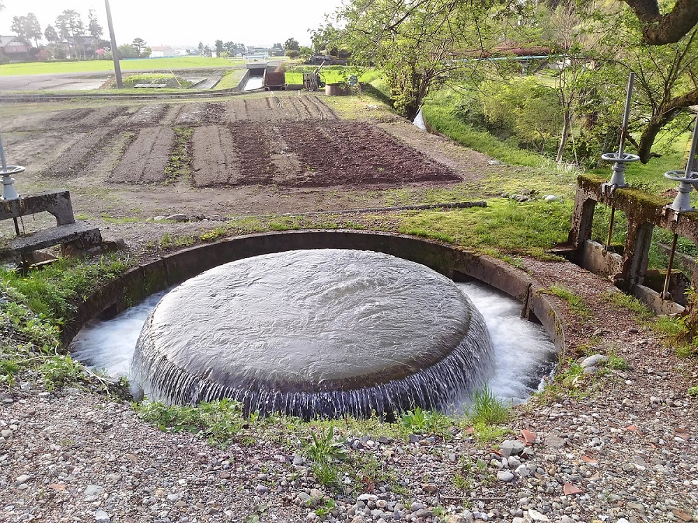 南砺市文化芸術アーカイブズ