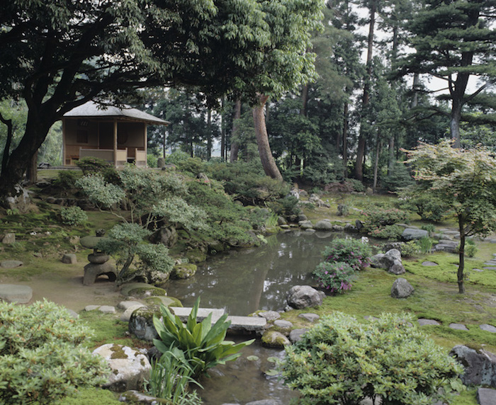 専徳寺の庭園の画像